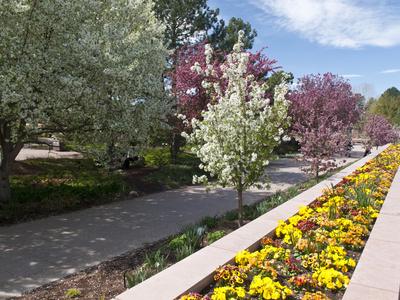 Denver Botanical Gardens Denver Colorado Usa Photographic Print