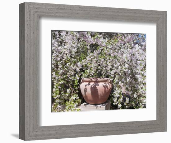 Denver Botanical Gardens, Denver, Colorado, USA-Trish Drury-Framed Photographic Print