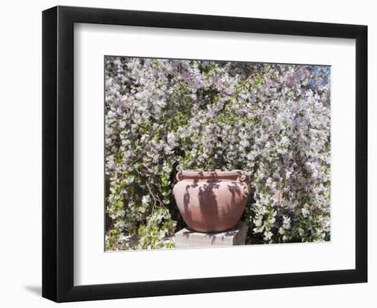 Denver Botanical Gardens, Denver, Colorado, USA-Trish Drury-Framed Photographic Print