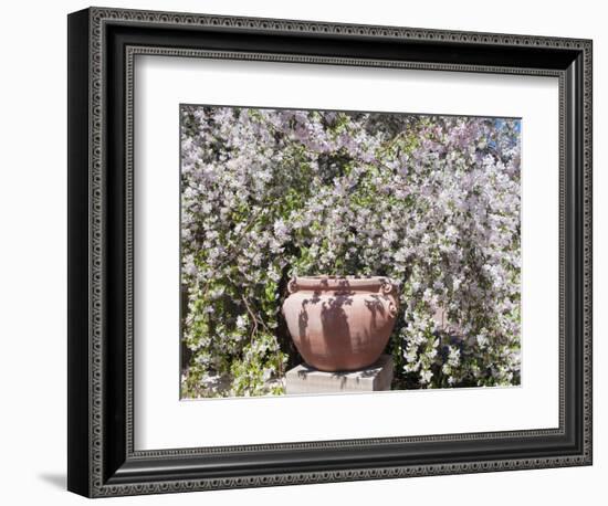 Denver Botanical Gardens, Denver, Colorado, USA-Trish Drury-Framed Photographic Print