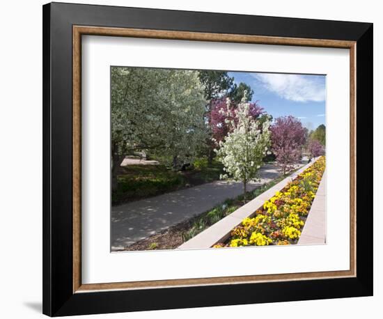 Denver Botanical Gardens, Denver, Colorado, USA-Trish Drury-Framed Photographic Print