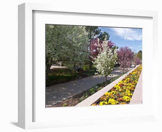 Denver Botanical Gardens, Denver, Colorado, USA-Trish Drury-Framed Photographic Print