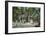 Denver, Colorado, Exterior View of the Bungalow at Elitch's Gardens-Lantern Press-Framed Art Print