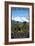 Denver, Colorado - Mountain Bike Scene-Lantern Press-Framed Art Print