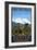 Denver, Colorado - Mountain Bike Scene-Lantern Press-Framed Art Print