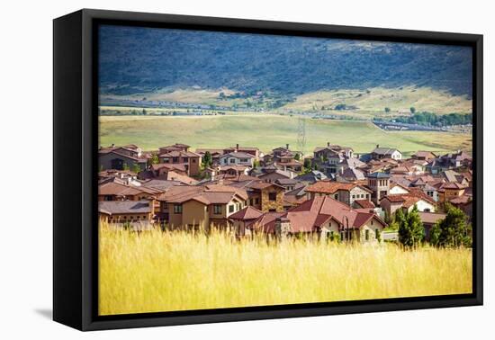 Denver Metro Residential Area-duallogic-Framed Premier Image Canvas