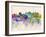 Denver Skyline in Watercolor Background-paulrommer-Framed Art Print