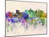 Denver Skyline in Watercolor Background-paulrommer-Mounted Art Print