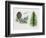 Deodar Cedar or Himalayan Cedar (Cedrus Deodara), Pinaceae, Tree, Leaves and Fruit-null-Framed Giclee Print