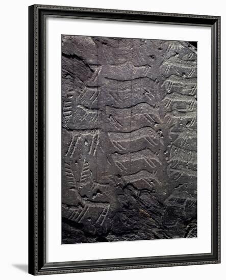 Depiction of Deer, Petroglyphs in Val Camonica-null-Framed Photographic Print