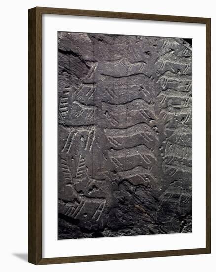 Depiction of Deer, Petroglyphs in Val Camonica-null-Framed Photographic Print