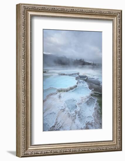 Deposits of travertine colored by thermophilic bacteria, Mammoth Hot Springs, Yellowstone NP.-Alan Majchrowicz-Framed Photographic Print