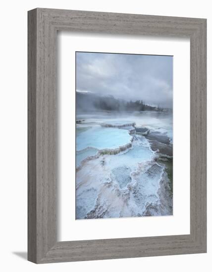 Deposits of travertine colored by thermophilic bacteria, Mammoth Hot Springs, Yellowstone NP.-Alan Majchrowicz-Framed Photographic Print