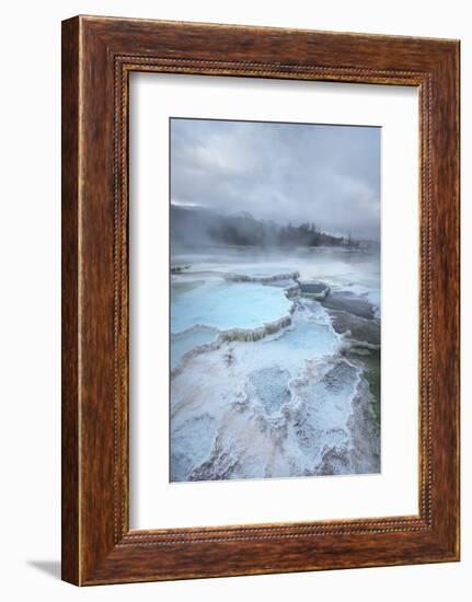 Deposits of travertine colored by thermophilic bacteria, Mammoth Hot Springs, Yellowstone NP.-Alan Majchrowicz-Framed Photographic Print