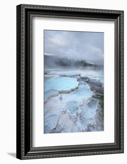 Deposits of travertine colored by thermophilic bacteria, Mammoth Hot Springs, Yellowstone NP.-Alan Majchrowicz-Framed Photographic Print