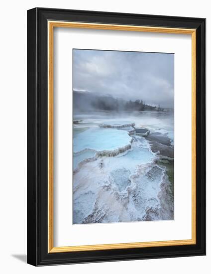 Deposits of travertine colored by thermophilic bacteria, Mammoth Hot Springs, Yellowstone NP.-Alan Majchrowicz-Framed Photographic Print