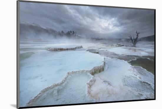 Deposits of travertine colored by thermophilic bacteria, Mammoth Hot Springs, Yellowstone NP.-Alan Majchrowicz-Mounted Photographic Print