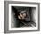 Depressed Man-Victor Habbick-Framed Photographic Print