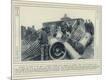 Photographic Print