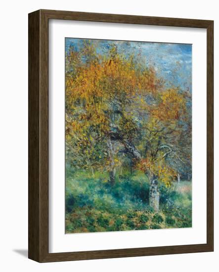 Der Birnbaum (Le Poirier). Um 1870-Pierre-Auguste Renoir-Framed Giclee Print