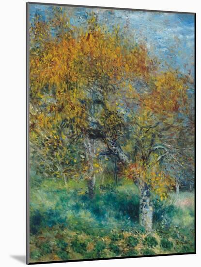 Der Birnbaum (Le Poirier). Um 1870-Pierre-Auguste Renoir-Mounted Giclee Print