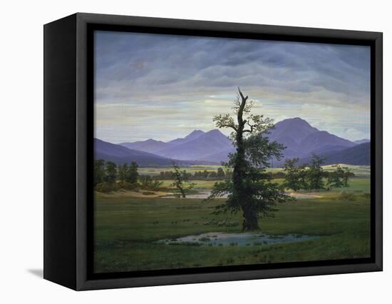 Der Einsame Baum (Dorflandschaft Bei Morgenbeleuchtung) (See also Image Number 1433, 1823-Caspar David Friedrich-Framed Premier Image Canvas