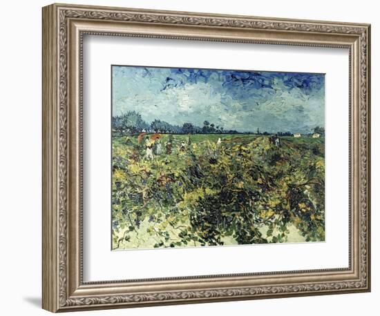 Der Gruene Weingarten, 1888-Vincent van Gogh-Framed Giclee Print