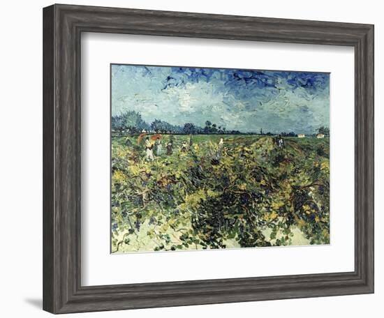 Der Gruene Weingarten, 1888-Vincent van Gogh-Framed Giclee Print