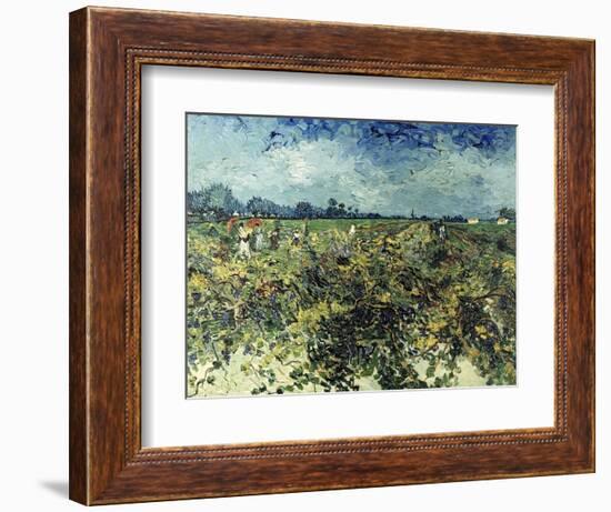 Der Gruene Weingarten, 1888-Vincent van Gogh-Framed Giclee Print