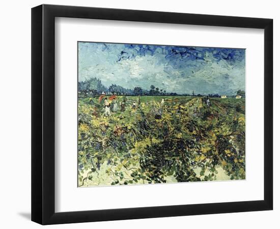 Der Gruene Weingarten, 1888-Vincent van Gogh-Framed Giclee Print