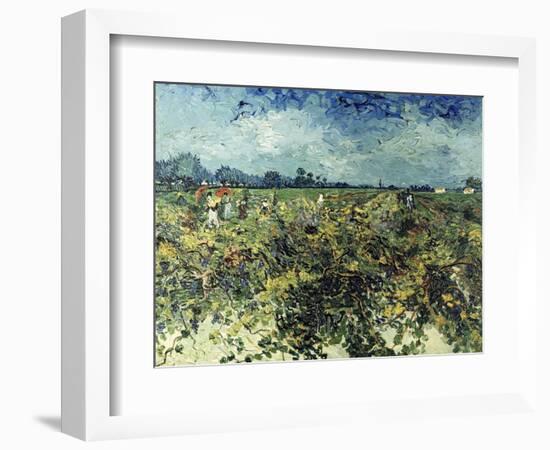 Der Gruene Weingarten, 1888-Vincent van Gogh-Framed Giclee Print