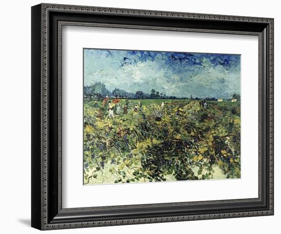 Der Gruene Weingarten, 1888-Vincent van Gogh-Framed Giclee Print