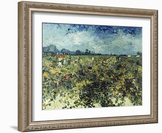 Der Gruene Weingarten, 1888-Vincent van Gogh-Framed Giclee Print