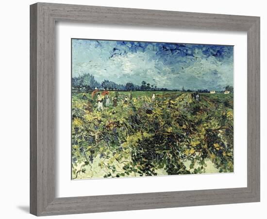 Der Gruene Weingarten, 1888-Vincent van Gogh-Framed Giclee Print