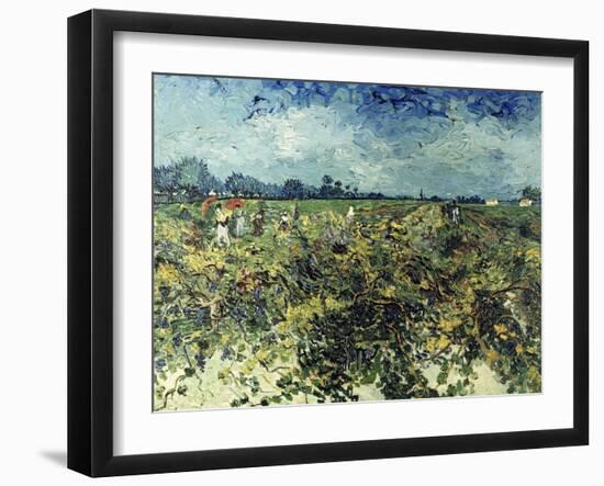 Der Gruene Weingarten, 1888-Vincent van Gogh-Framed Giclee Print