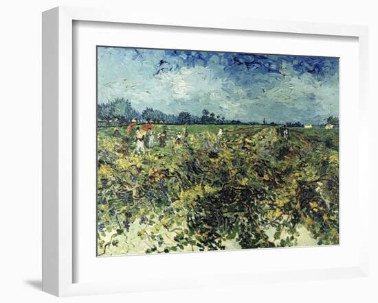 Der Gruene Weingarten, 1888-Vincent van Gogh-Framed Giclee Print