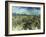 Der Gruene Weingarten, 1888-Vincent van Gogh-Framed Giclee Print