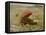 Der rote Schirm. Um 1860-Franz Von Lenbach-Framed Premier Image Canvas