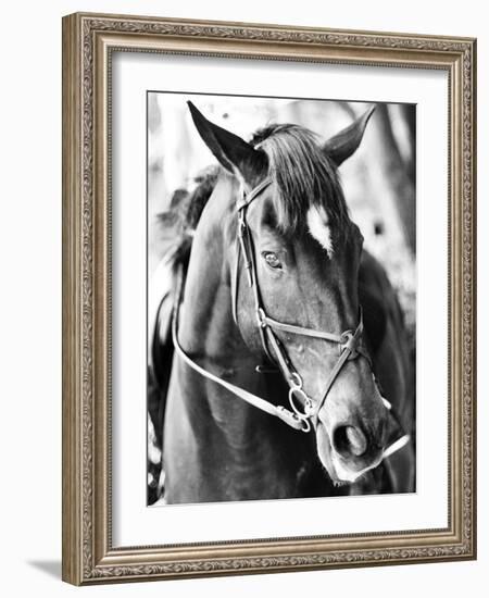 Derby I-Susan Bryant-Framed Photographic Print