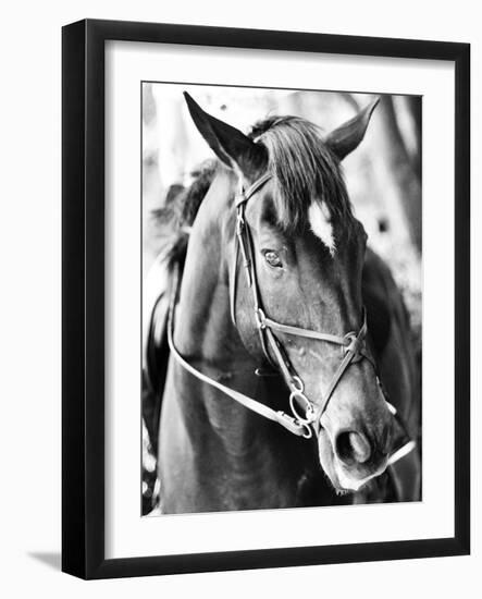 Derby I-Susan Bryant-Framed Photographic Print