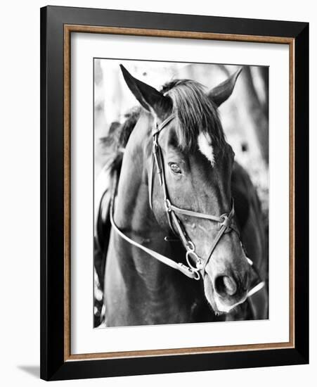 Derby I-Susan Bryant-Framed Photographic Print