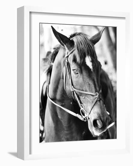 Derby I-Susan Bryant-Framed Photographic Print