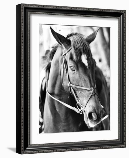 Derby I-Susan Bryant-Framed Photographic Print