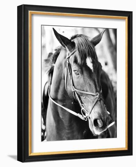 Derby I-Susan Bryant-Framed Photographic Print