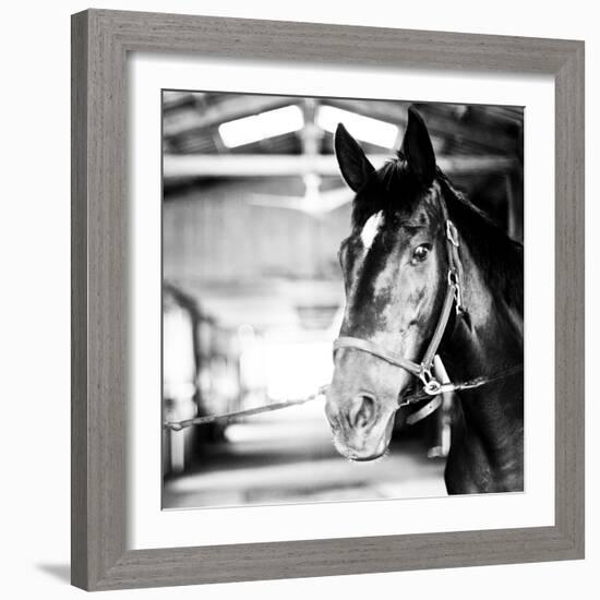 Derby Square I-Susan Bryant-Framed Photographic Print