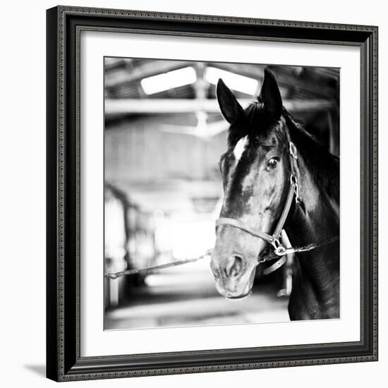 Derby Square I-Susan Bryant-Framed Photographic Print