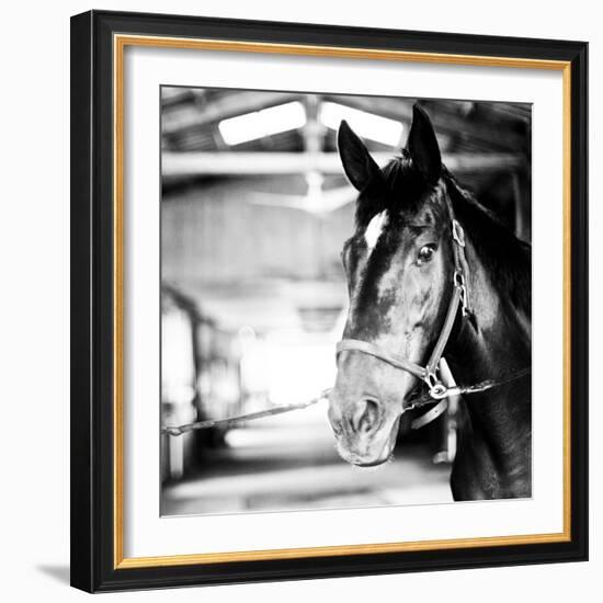 Derby Square I-Susan Bryant-Framed Photographic Print