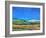 Derbyshire Landscape, 1999-Trevor Neal-Framed Giclee Print