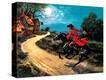 Stretched Canvas Print