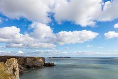 Puffin on Skomer Island, Pembrokeshire, Wales, United Kingdom, Europe-Derek Phillips-Framed Premier Image Canvas